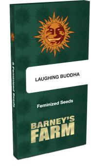 Laughing Buddha - картинка 11